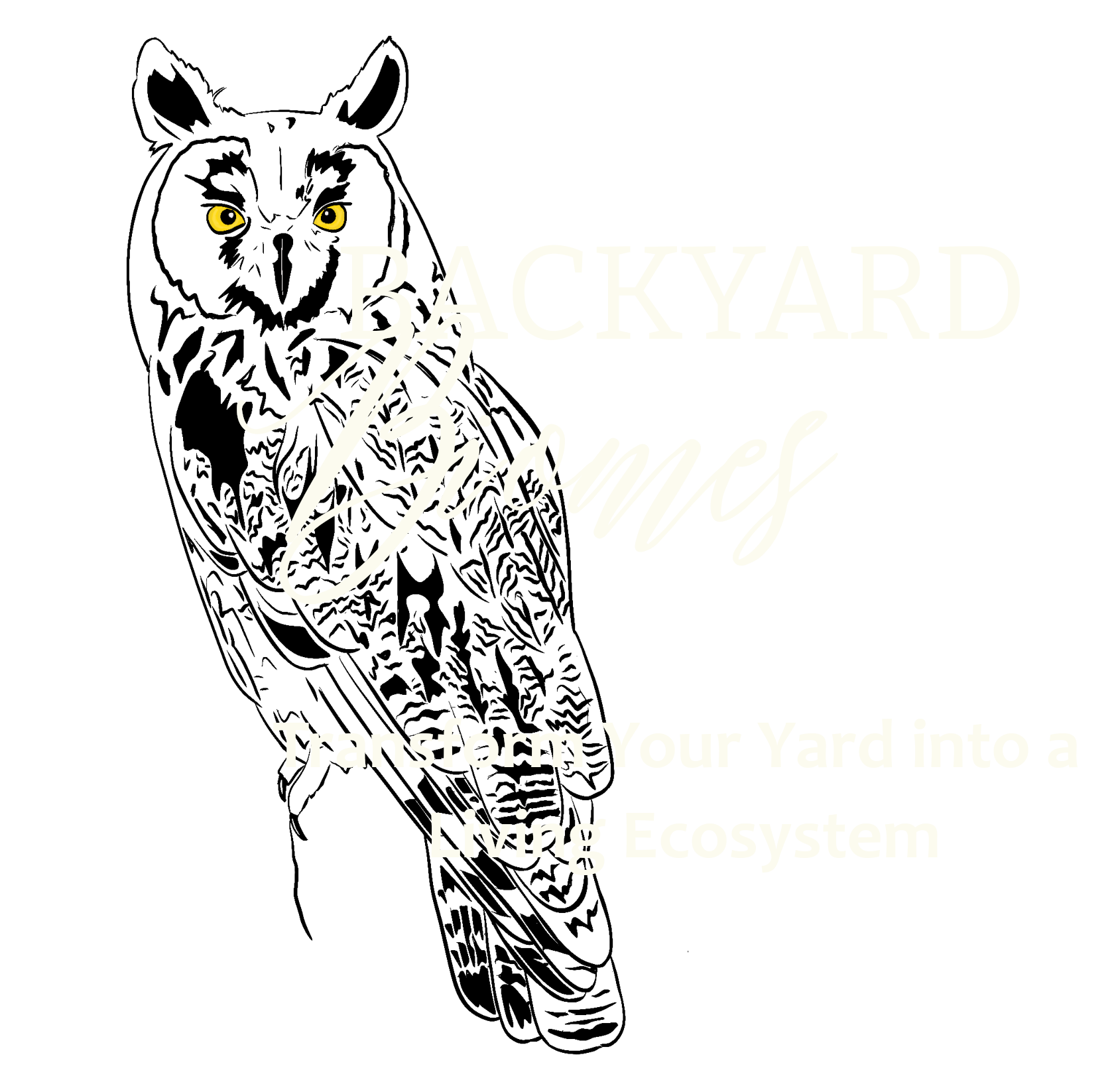Backyard Biomes